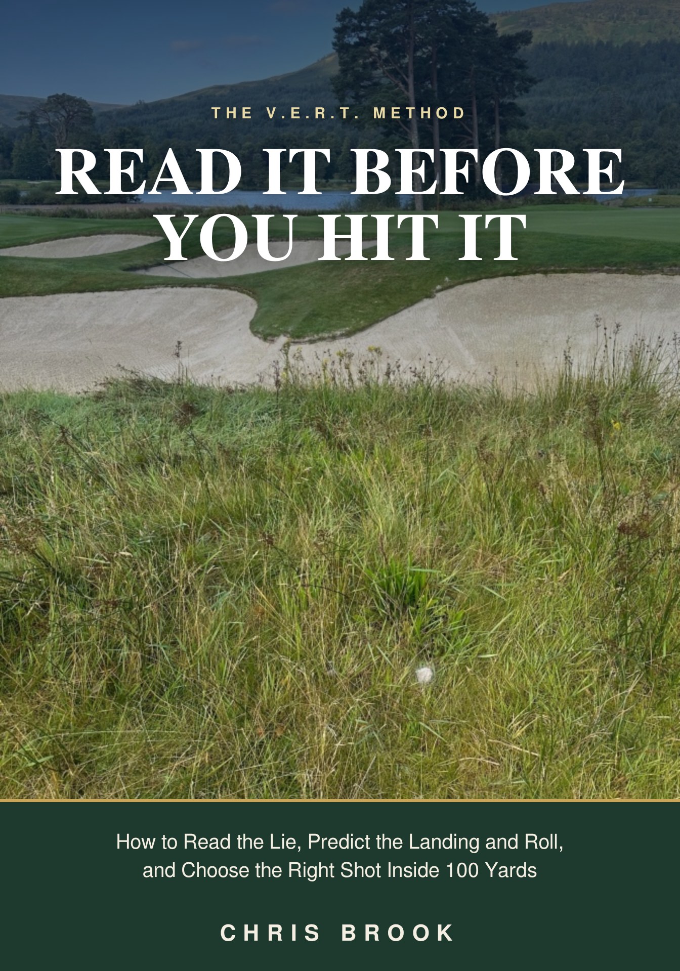 Read It Before You Hit It book cover