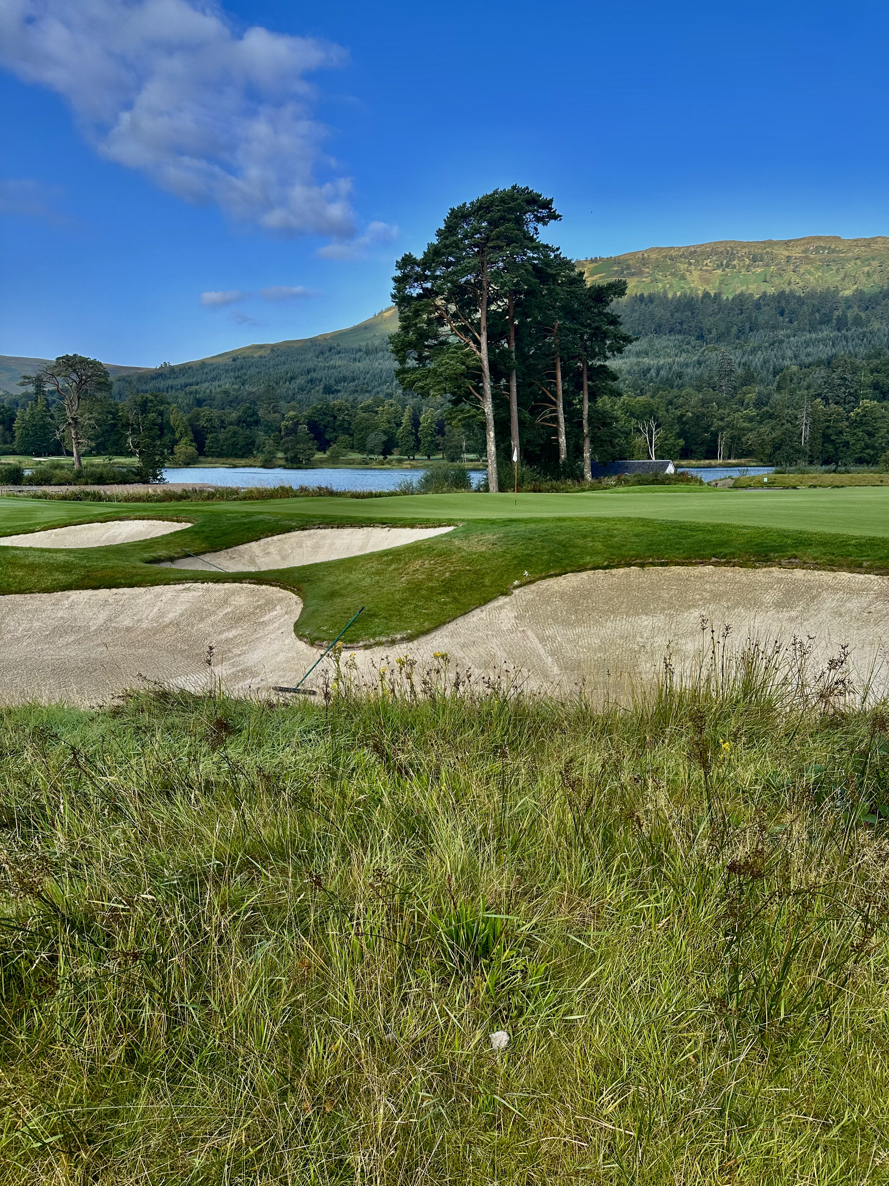 A golf ball sitting down in long rough, with three bunkers between it and the green and the flag beyond