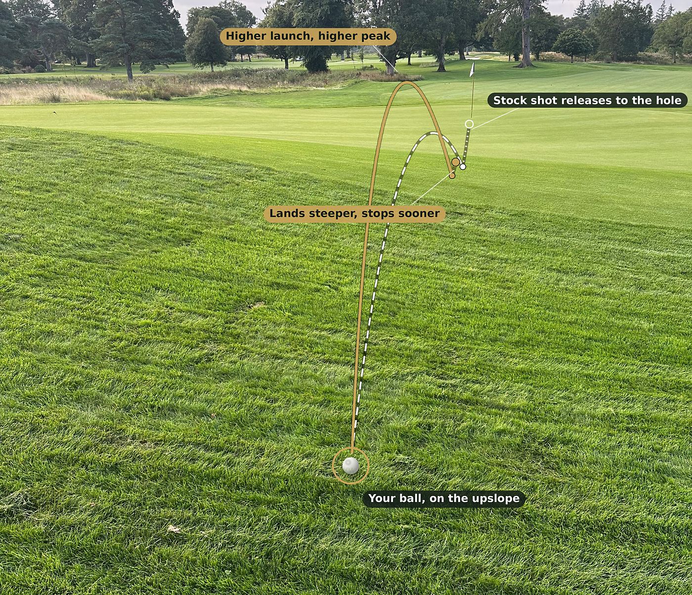 A ball on an upslope short of the green, with two shots drawn on: from the uphill lie the ball launches higher, peaks higher, lands steeper and stops sooner; the stock shot releases to the hole